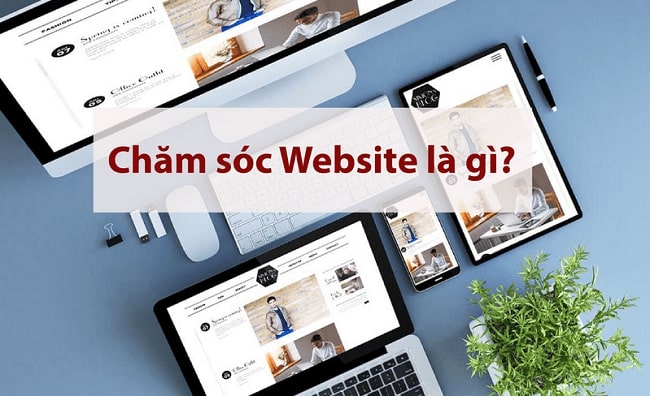 Cham-soc-website-la-gi